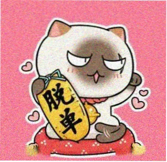 纯爱影迷